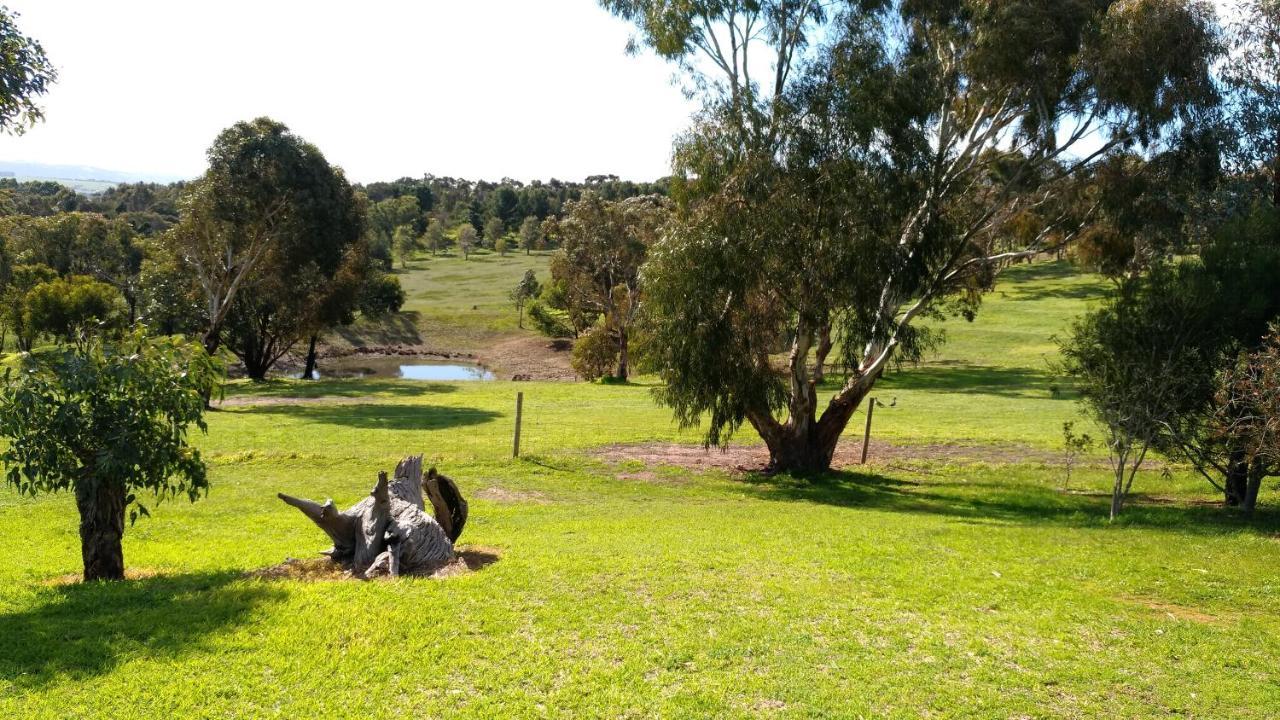 Austiny Bed And Breakfast Victor Harbor Exterior photo