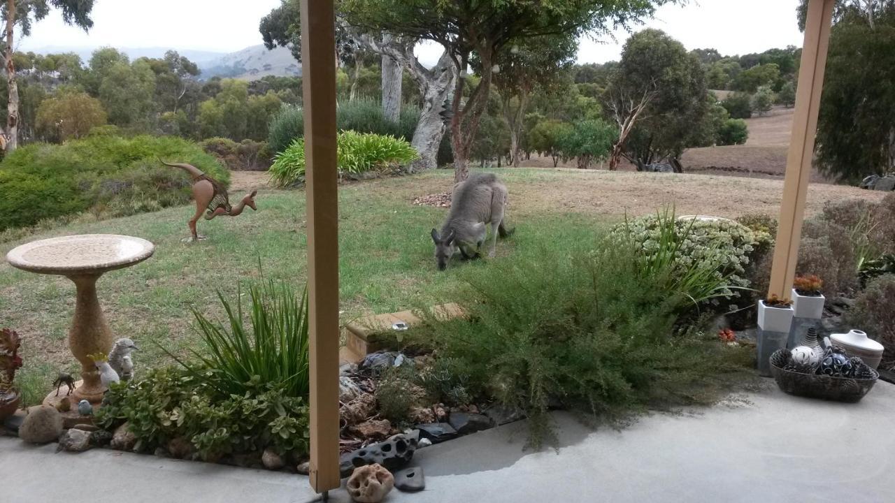 Austiny Bed And Breakfast Victor Harbor Exterior photo